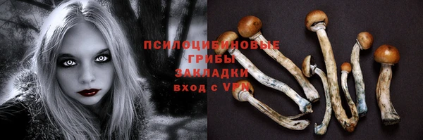 mix Абинск