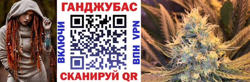 Канабис сатива  Алдан 